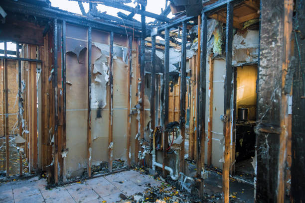 Professional Fire Damage Removal technician working in Eastport, NY
